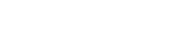 fnss